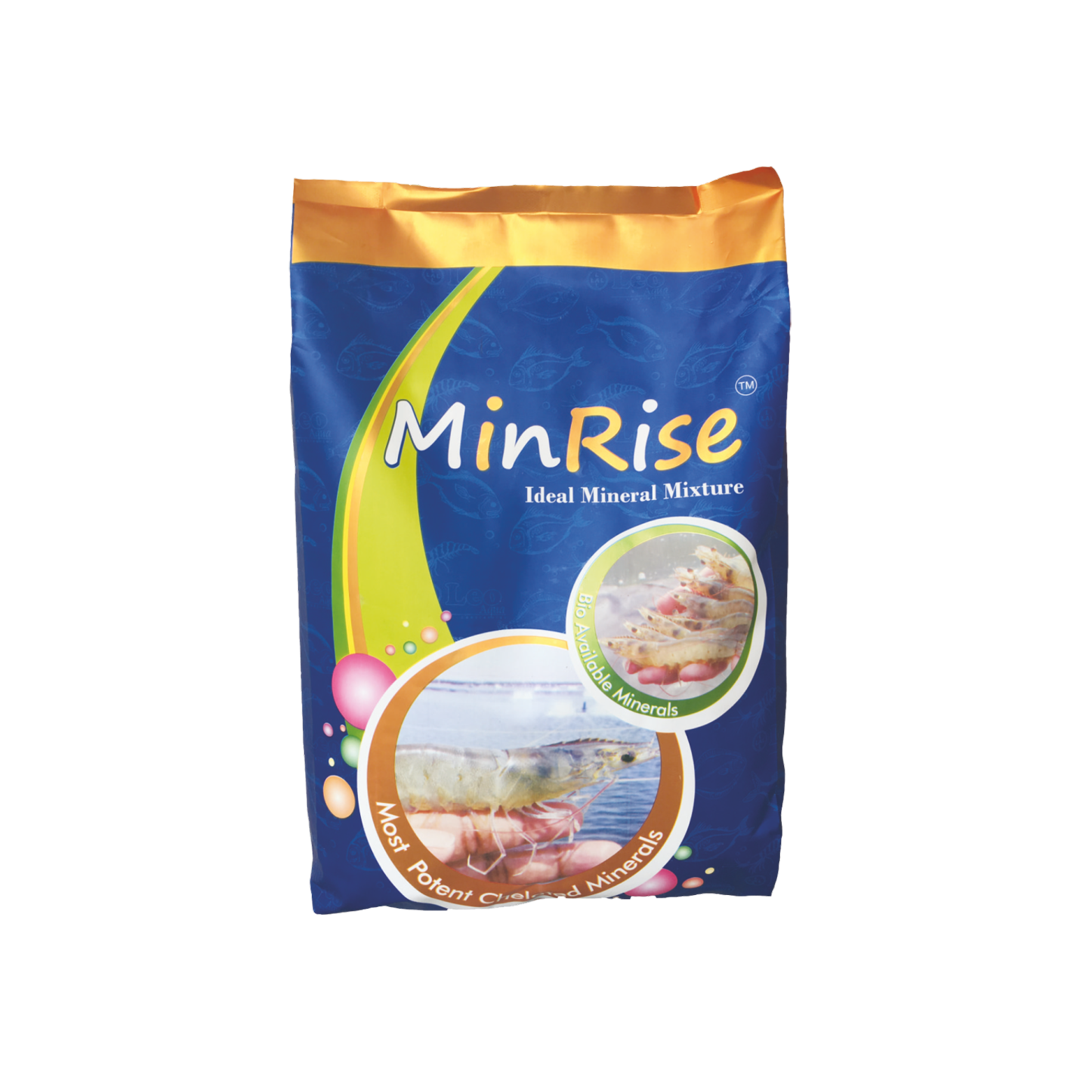Minrise