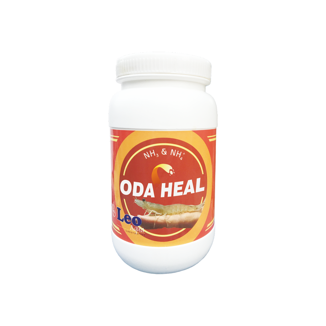 Oda Heal